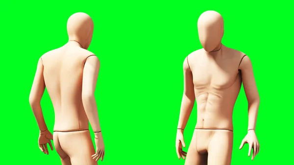 Maniquí, maniquí aislado en pantalla verde. renderizado 3d . — Foto de Stock