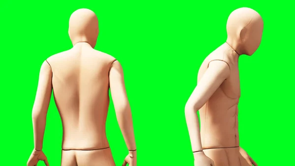 Maniquí, maniquí aislado en pantalla verde. renderizado 3d . — Foto de Stock