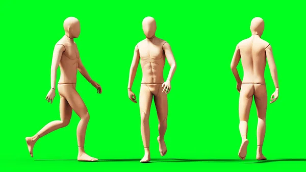 傻瓜，人体模型隔离在绿色屏幕上。3d渲染. — 图库照片