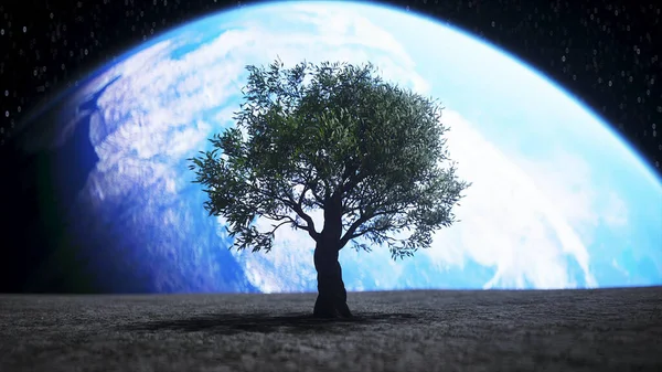 外宇宙の月の木。3Dレンダリング. — ストック写真