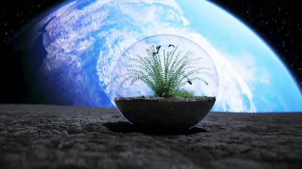 Tráva ve skleněné kouli ve vesmíru. Ekologický koncept. 3D vykreslování. — Stock fotografie