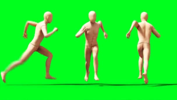 Buta, próbababa animáció. Fizikai, mozgás elmosódás. Realisztikus 4k animáció. Zöld képernyő — Stock videók
