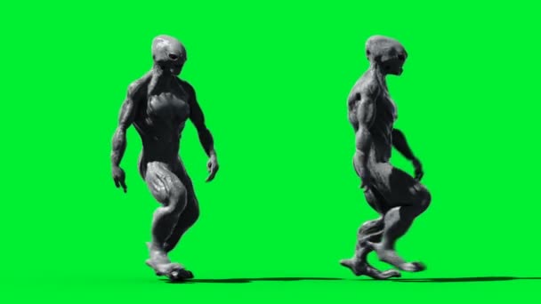 Scary monster animation. Phisical, motion, blur. Realistic 4k animation. Green screen — Stock Video