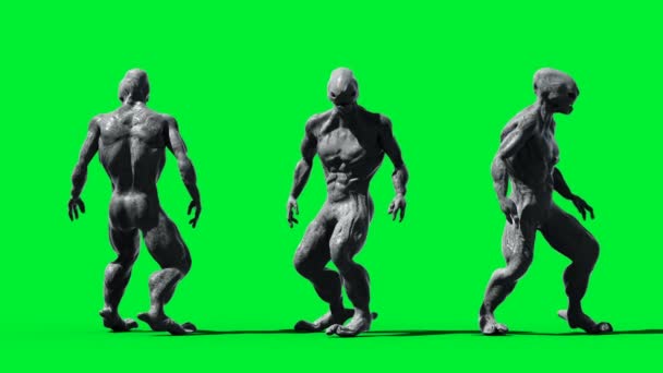 Scary monster animation. Phisical, motion, blur. Realistic 4k animation. Green screen — Stock Video