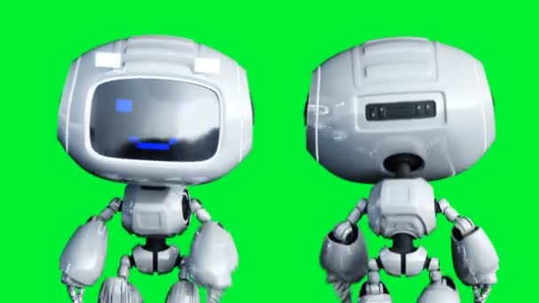 Animazione robot giocattolo sorridente bianca. Sfocatura del moto fisico. Schermo verde realistico animazione 4k. Schermo verde — Video Stock