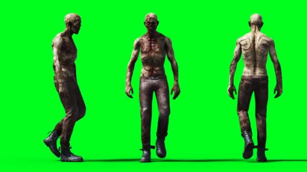 Animação zumbi. Desfoque de movimento físico. Realista tela verde 4k animação. Tela verde — Vídeo de Stock