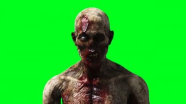 Zombi animasyonu. Garip hareket bulanıklığı. Gerçekçi yeşil ekran 4k animasyonu. Yeşil Ekran
