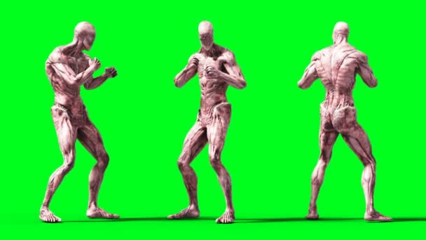 可怕的怪物动画。活泼，运动，模糊。现实的4k动画。绿色屏幕 — 图库视频影像