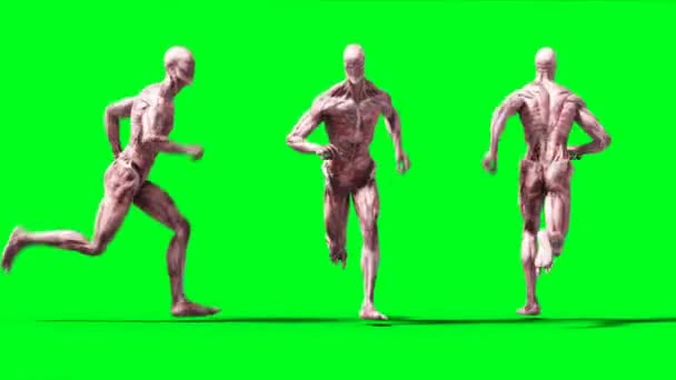 Animación monstruosa aterradora. Phisical, motion, blur. Animación realista 4k. Pantalla verde — Vídeos de Stock