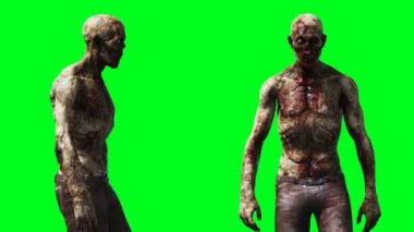 Zombi animasyonu. Garip hareket bulanıklığı. Gerçekçi yeşil ekran 4k animasyonu. Yeşil Ekran