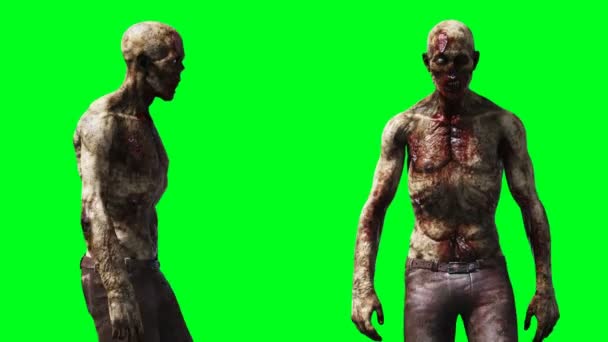 Animación zombi. Desenfoque de movimiento físico. Animación realista de la pantalla verde 4k. Pantalla verde — Vídeos de Stock