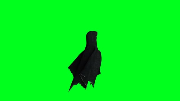 Misterio miedo animación fantasma. sudadera dinámica. Aislar. Animación realista de la pantalla verde 4k . — Vídeos de Stock