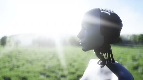 Robot hembra camina campo de hierba. Antecedentes de ciencia ficción. Concepto de futuro. Animación realista 4K . — Vídeo de stock