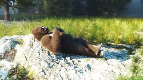 Divertente gorilla inattivo nella foresta. Animazione realistica 4k. — Video Stock
