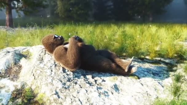 Divertido gorila ocioso en el bosque. Animación realista 4k . — Vídeo de stock