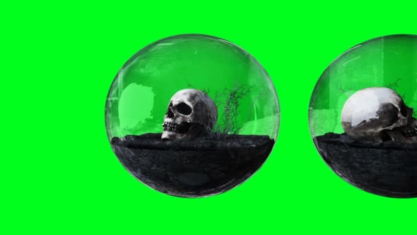 Menselijke schedel in glazen bol. Isoleer. Ecologisch concept. 4k animatie. — Stockvideo