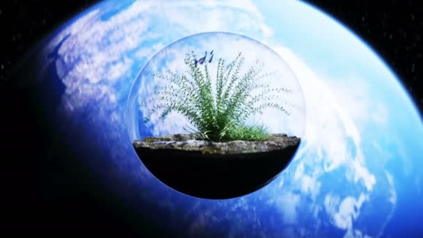 Gras in glazen bol in de ruimte. Ecologisch concept. 3d destructie. — Stockvideo