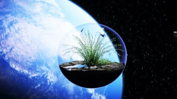 Трава в стеклянной сфере в открытом космосе. Экологическая концепция. 3d-рендеринг . — стоковое видео
