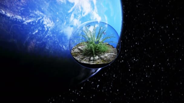 Gras in glazen bol in de ruimte. Ecologisch concept. 3d destructie. — Stockvideo