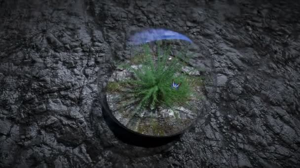 Gras in glazen bol in de ruimte. Ecologisch concept. 3d destructie. — Stockvideo