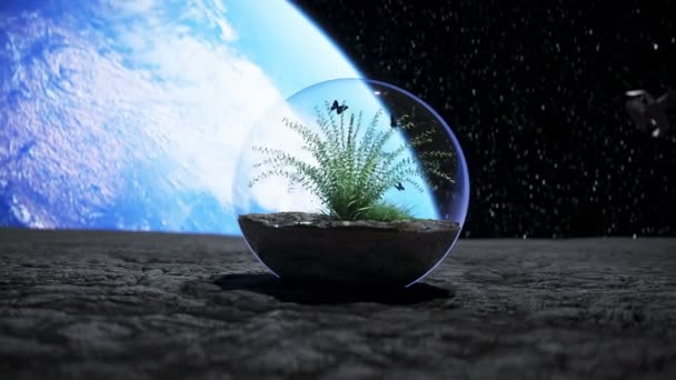 Gras in glazen bol in de ruimte. Ecologisch concept. 3d destructie. — Stockvideo