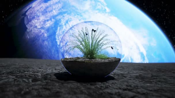 Hierba en esfera de vidrio en el espacio exterior. Concepto de ecología. renderizado 3d . — Vídeos de Stock