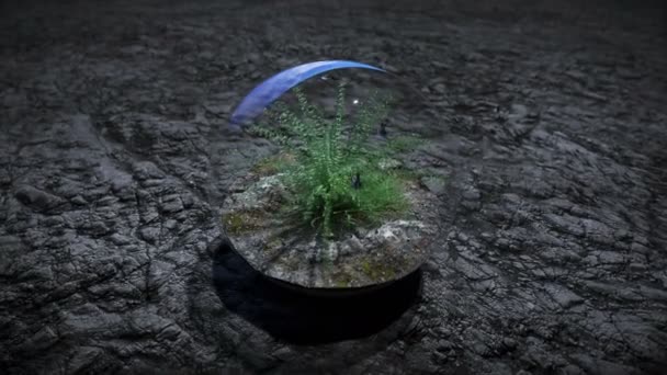 Трава в скляній сфері у зовнішньому просторі. Концепція екології. 3D візуалізація . — стокове відео
