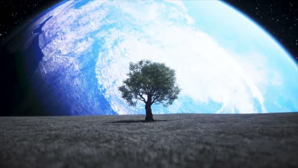 Дерево на Луне в космосе. 3d-рендеринг . — стоковое видео
