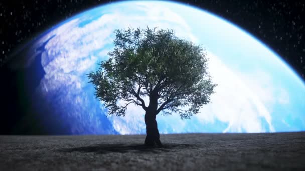 Árbol en la luna en el espacio exterior. renderizado 3d . — Vídeo de stock