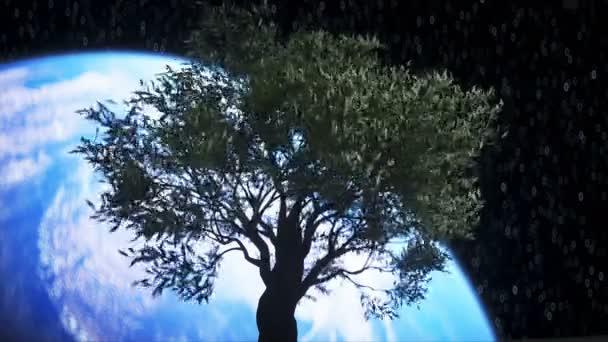 Árbol en la luna en el espacio exterior. renderizado 3d . — Vídeos de Stock