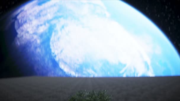 太空中的月亮上的树。3d渲染. — 图库视频影像