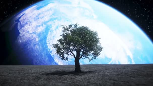 Δέντρο στο φεγγάρι στο διάστημα. 3d απόδοση. — Αρχείο Βίντεο