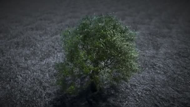 Baum auf dem Mond im Weltraum. 3D-Darstellung. — Stockvideo