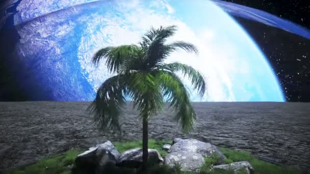 宇宙飛行士は月のオアシスにアイドル。3Dレンダリング. — ストック動画