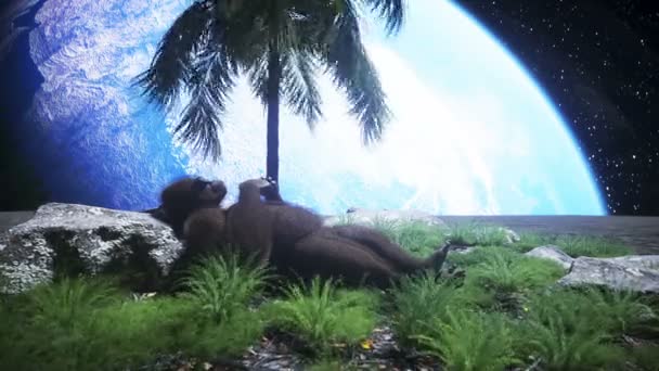 Gorilla idle on the moon oasis. 3d rendering. — Stock Video