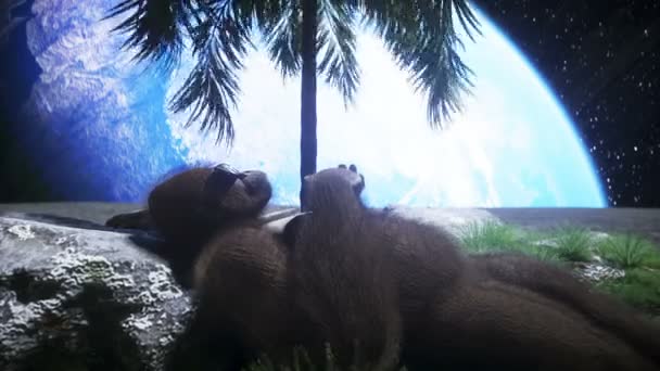 Gorilla oziare sull'oasi lunare. rendering 3d . — Video Stock