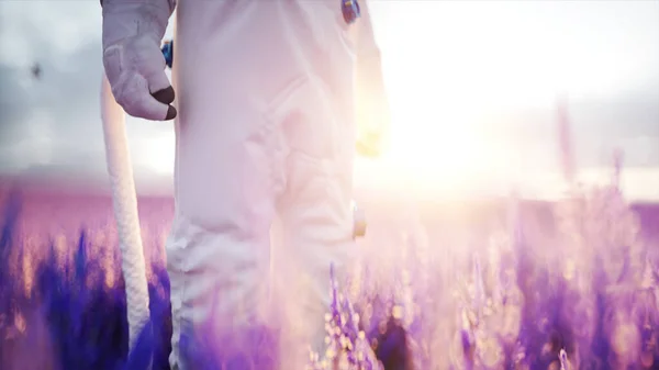 Astronauta con farfalle in campo di lavanda. concetto di futuro. trasmissione. rendering 3d. — Foto Stock