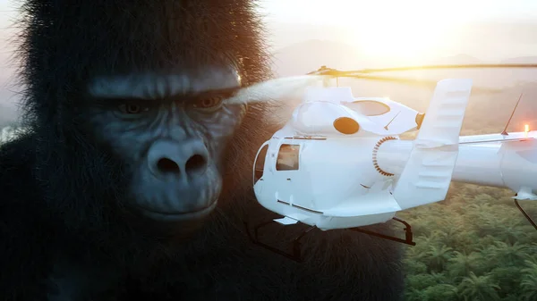 Gorilla gigante ed elicottero nella giungla. Animale preistorico e mostro. Pelliccia realistica. rendering 3d. — Foto Stock