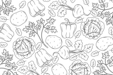 Background with drawn vegetables: peppers, cabbage, parsley, spinach, potatoes. Illustration of vegetables for healthy eating or menu design.