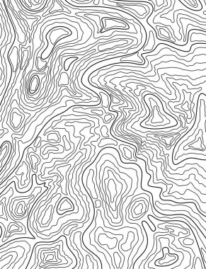 Topografik çizgilerin siyah beyaz çizimi. Yardım haritası tarzında soyut bir arkaplan, hat hatları. Poster tasarımı, arkaplan ve modern dekor için soyutlama.