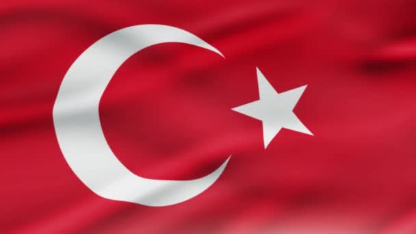 トルコ国旗を振って風トルコ国旗の現実的な背景のビデオ映像です トルコ国旗のループのクローズ アップ — ストック動画