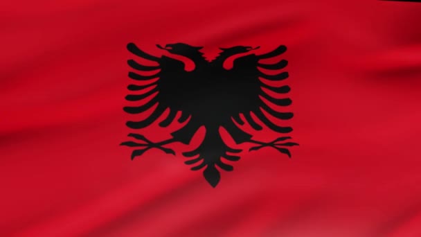 Αλβανία Σημαία Κυματίζει Στην Αιολική Τηλεοπτικό Μήκος Πόδηα Ρεαλιστική Σημαία — Αρχείο Βίντεο