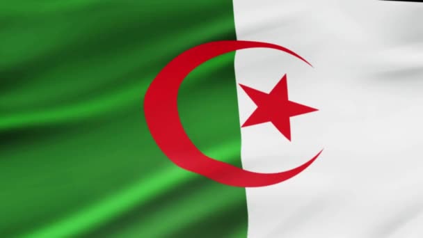 Algerien Flagge Wehen Wind Videoaufnahmen Realistischen Algerien Flagge Hintergrund Algerien — Stockvideo