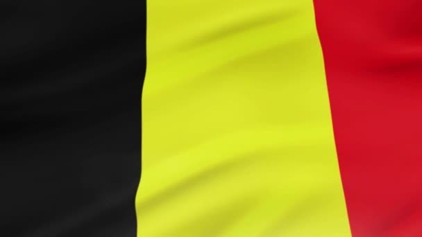 Belgische Flagge Weht Wind Videoaufnahmen Realistischen Belgischen Flagge Hintergrund Belgische — Stockvideo