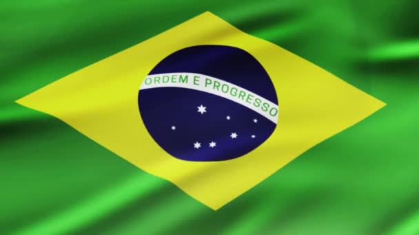 Brazilië Vlag Zwaaien Wind Videobeelden Realistische Brazilië Vlag Achtergrond Brazilië — Stockvideo