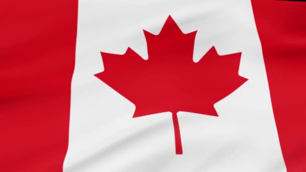 Canada Vlag Zwaaien Wind Videobeelden Realistische Canada Vlag Achtergrond Canada — Stockvideo