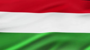 Macar bayrak sallayarak video görüntüleri gerçekçi Macaristan bayrağı arka plan Rüzgar. Macar bayrak portre döngü