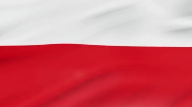 Polonya bayrağı sallayarak video görüntüleri gerçekçi Polonya bayrağı arka plan Rüzgar. Polonya bayrağı Closeup döngü