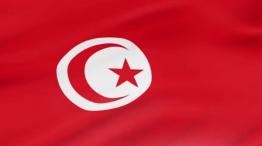 Tunus bayrağı sallayarak video görüntüleri gerçekçi Tunus bayrağı arka plan Rüzgar. Tunus bayrağı Closeup döngü