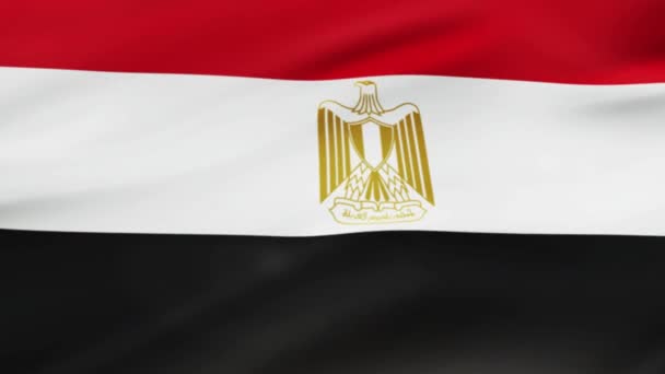 Egypte Vlag Zwaaien Wind Videobeelden Realistische Egypte Vlag Achtergrond Egypte — Stockvideo